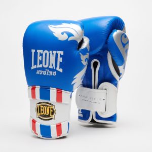 Боксови ръкавици Leone THAI STYLE