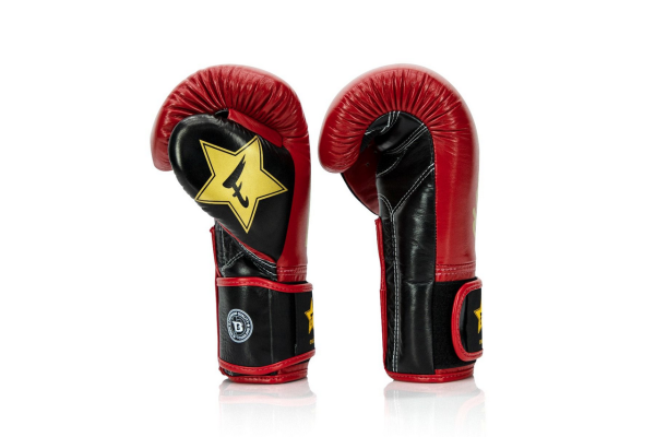 Боксови ръкавици FAIRTEX FXB-BG V2