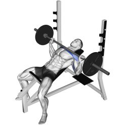 Лежанка горни гърди Evolve Incline EC-510