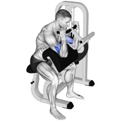 Бицепс машина Evolve Biceps Curl EC-006