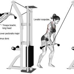 Едностранен кросоувър Evolve Hi/Low Pulley EC-050