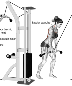 Едностранен кросоувър Evolve Hi/Low Pulley EC-050