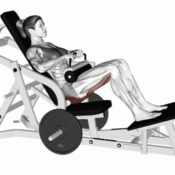 Глутеус машина Evolve Glute Trainer EC-032