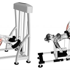 Глутеус машина Evolve Glute Trainer EC-032