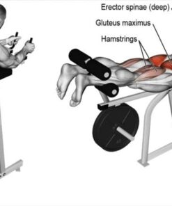 Глутеус машина Evolve Rear Kick PR-070