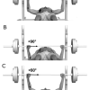 Хоризонтална лежанка Evolve Flat Bench EC-509