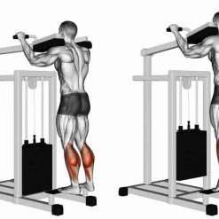 Калф машина Evolve Calf Extension EC-019