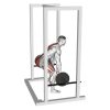 Клек стойка Evolve Power Rack PR-100