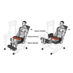 Лег Екстензия Evolve Leg Extension EC-014