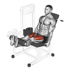 Лег Екстензия Evolve Leg Extension EC-014