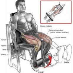 Лег Екстензия Evolve Leg Extension EC-014