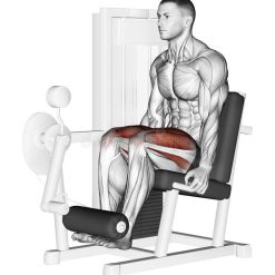 Лег Екстензия Evolve Leg Extension PR-205