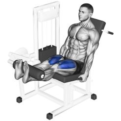 Лег Екстензия Evolve Leg Extension PR-205