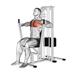 Машина за гърди Evolve Chest-Press EC-001