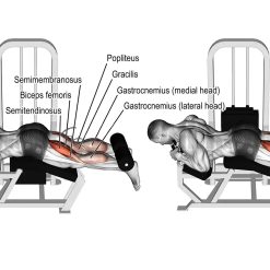 Машина задно бедро Evolve Leg/Curl EC-015