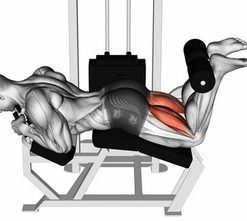 Машина задно бедро Evolve Leg/Curl EC-015