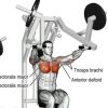 Наклонена преса Evolve Chest Press PR-120