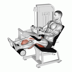 ПРЕДНО/ЗАДНО БЕДРО Evolve Leg Extension/Curl EC-037