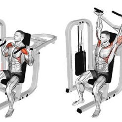 Раменна преса Evolve Shoulder Press EC-004