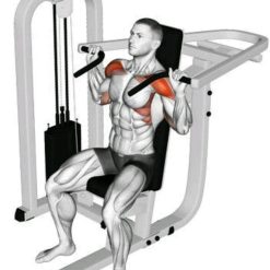 Раменна преса Evolve Shoulder Press EC-004