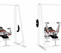 Смит машина Evolve Smith Machine EC-030