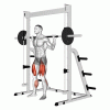 Смит машина Evolve Squat Rack/Smith Machine EC-001