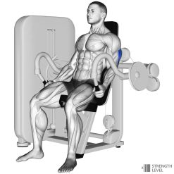 Трицепс машина Evolve Triceps Press EC-007