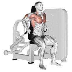 Трицепс машина Evolve Triceps Press EC-007