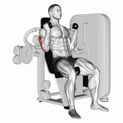 Трицепс машина Evolve Triceps Press EC-007