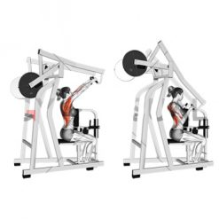 Уред за гръб Evolve Row PR-040