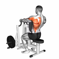 Уред за гръб Evolve Row PR-050