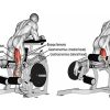 Задно бедро Evolve Leg Curl PR-140