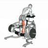 Задно бедро Evolve Leg Curl PR-140